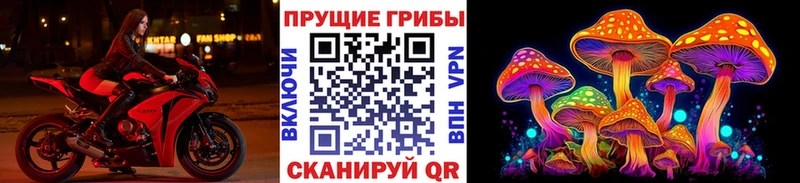 Псилоцибиновые грибы MAGIC MUSHROOMS  где купить наркотик  мориарти формула  Билибино 